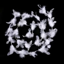 Féérie Lights & Christmas Guirlande de Noël Plumes et Perles - 2 m Objets de décoration Couleur Blanc