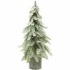 Féérie Lights & Christmas ABIES Objets de décoration Couleur Vert -Christmas Soldes Boutique 22760297 500 A