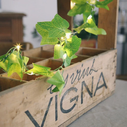 Féérie Lights & Christmas IVY Objets de décoration Couleur Vert 3 Féérie Lights & Christmas IVY Objets de décoration Couleur Vert