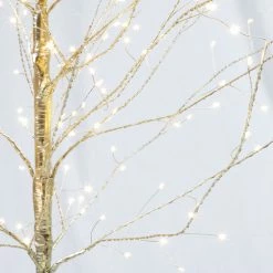 Féérie Lights & Christmas PYRUS Objets de décoration Couleur Dore -Christmas Soldes Boutique 22760363 500 C