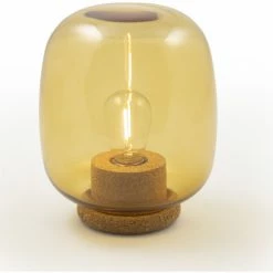 Féérie Lights & Christmas SILENE Luminaires Couleur Orange