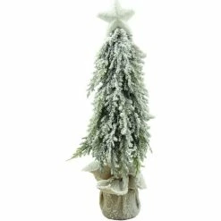 Féérie Lights & Christmas STAR Objets de décoration Couleur Vert