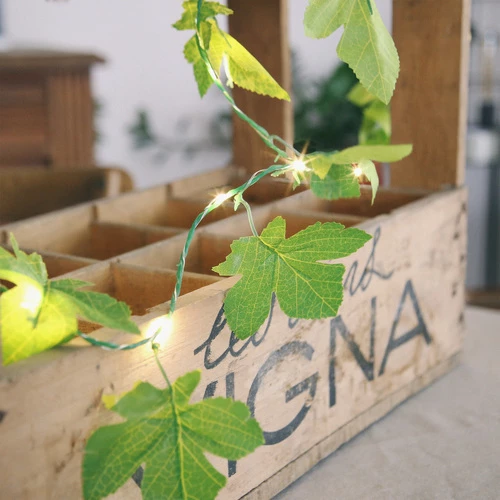 Féérie Lights & Christmas VITIS Objets de décoration Couleur Vert 4 Féérie Lights & Christmas VITIS Objets de décoration Couleur Vert – Image 2